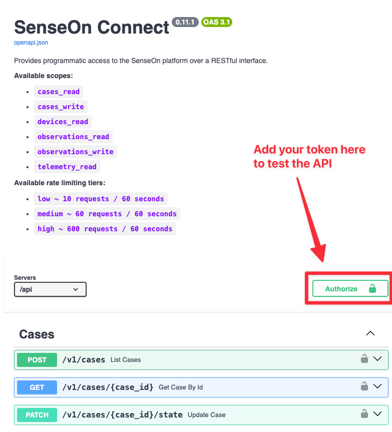 API Authorisation Process