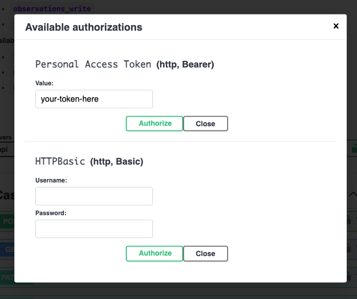 API Authorisation Popup